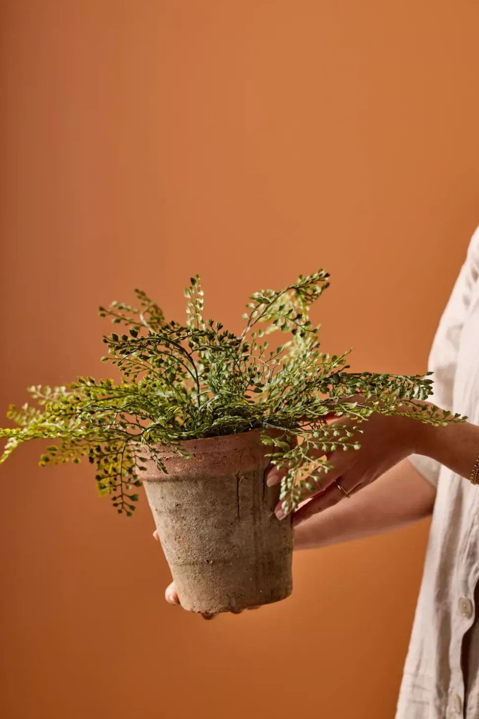Adiantum H30