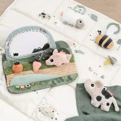 Aktivitetsleke Speil Baby Tiny Farm