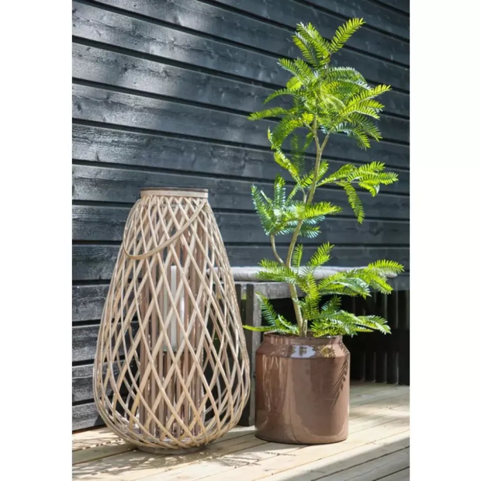 Amarone Lanterne Nature m/glass D48 H80