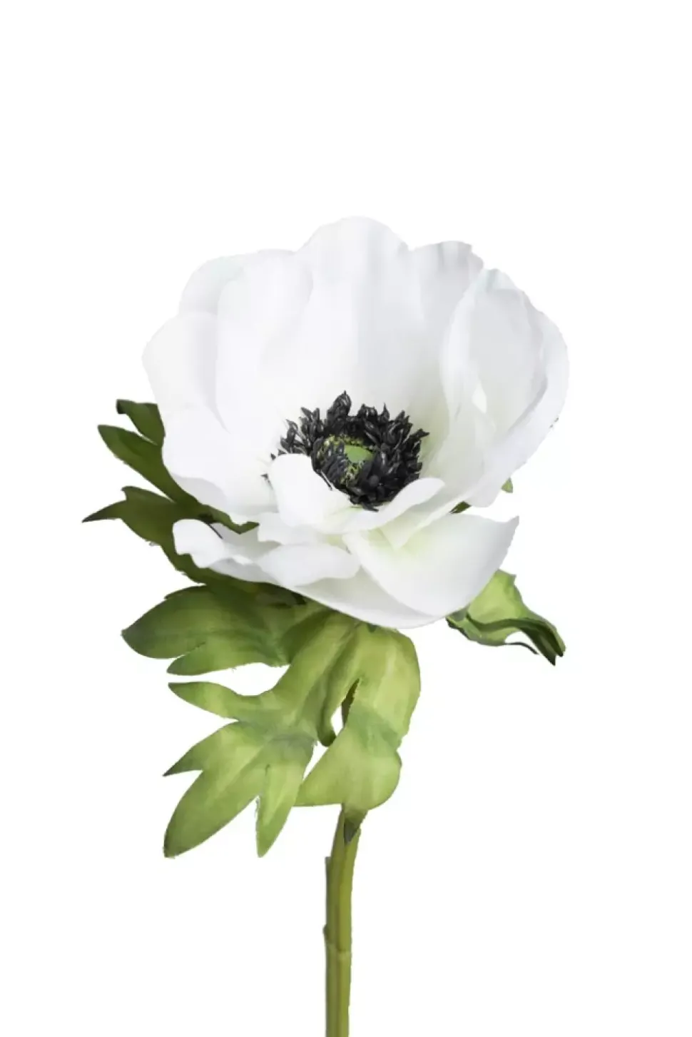 Anemone Hvit 43cm