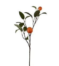 Appelsinkvist H60