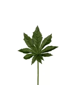 Aralia blad H25