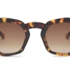 Audrey Tortoise Solbriller