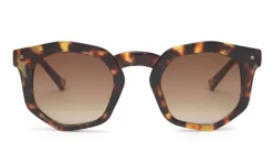 Audrey Tortoise Solbriller