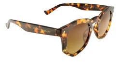 Audrey Tortoise Solbriller