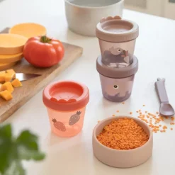 Baby Food Container S/3 Ozzo Powder