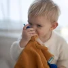 Bamse Koseklut