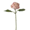 Bergknapp Rosa H37