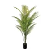 Bergspalme H140