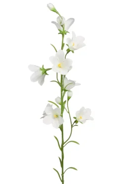 Blåklokke Hvit H65