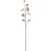 Blåklokke Lys Rosa H85