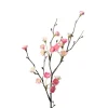 Blomsterkvist