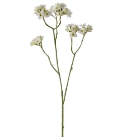 Blomsterkvist Hvit H80