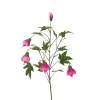 Blomsterlønn Rosa H80