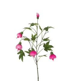 Blomsterlønn Rosa H80