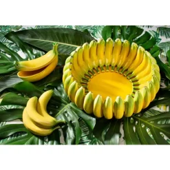 Bordallo Pinheiro - Banana Madeira - Bolle