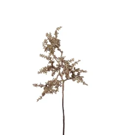 Bærkvist Brun H60