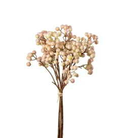 Bærkvistbunt Rosa H35