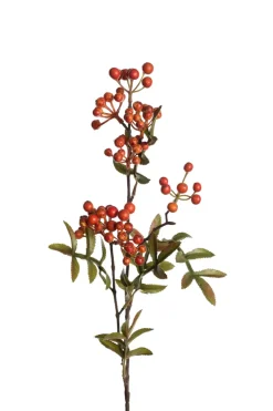 Bærkvist H70
