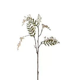 Bærkvist Krem H70