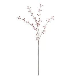 Bærkvist Rosa H80