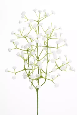 Brudeslør H50
