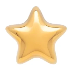 Bubble Star Øredobb Gullbelagt 1 stk