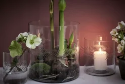 Carla Vase Transparent H16,5
