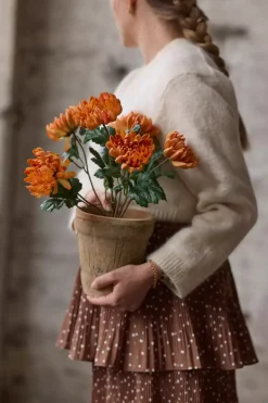 Chrysanthemum I Potte Orange