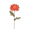 Chrysanthemum Orange H55