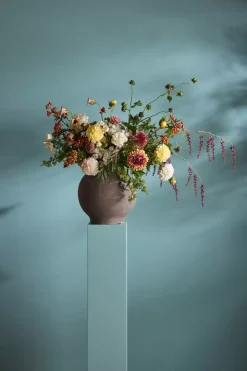 Dahlia Fersken H66