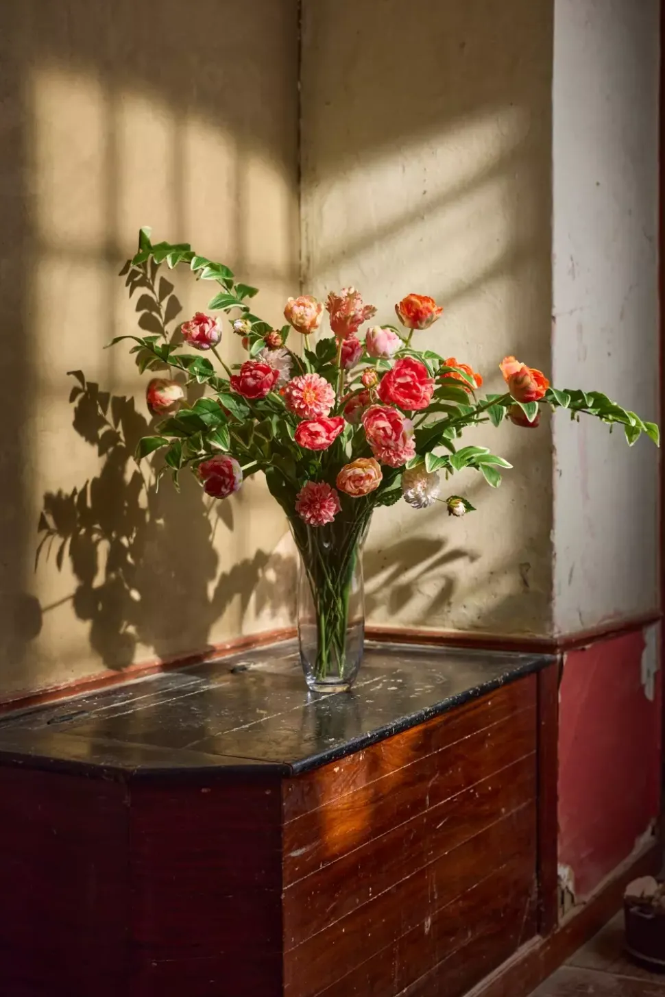 Dahlia Fersken H66