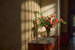 Dahlia Fersken H66