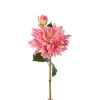 Dahlia H70 Rosa