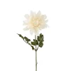 Dahlia Hvit H45