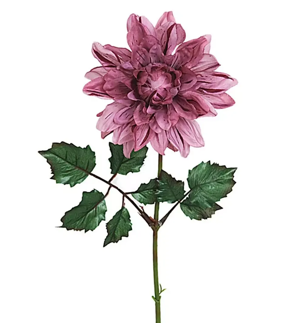 Dahlia Lilla H45