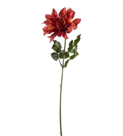 Dahlia Oransj H45