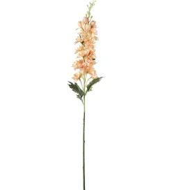 Delphinium Fersken H75