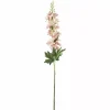 Delphinium H75