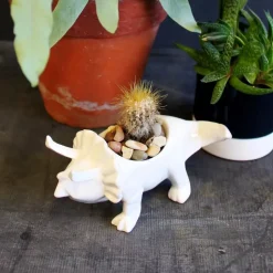 Dinosaur Eggeglass Keramikk Hvit