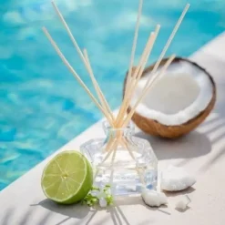 Durance Duftpinner Coconut Water