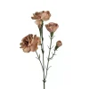 Elegance Nellik Beige 65cm