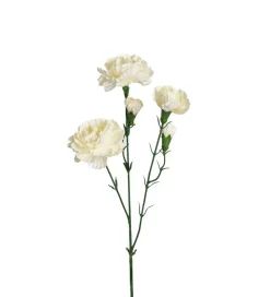 Elegance Nellik Hvit H65