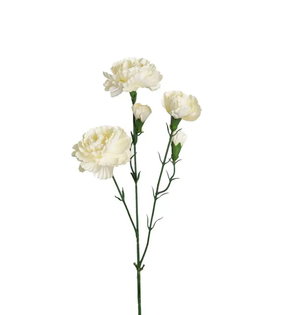 Elegance Nellik Hvit H65