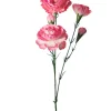 Elegance Nellik Hvit/Rosa H65