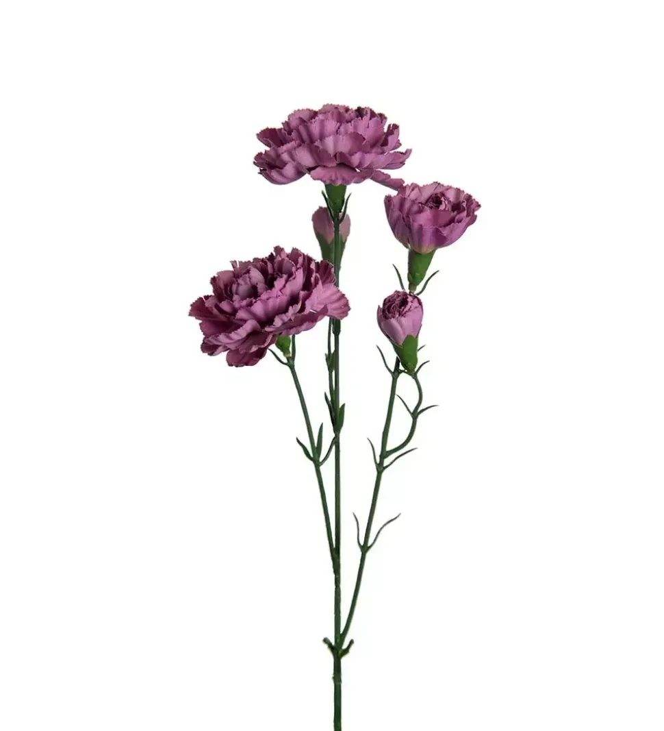 Elegance Nellik Lilla H65