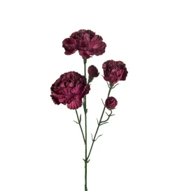 Eleganse Nellik Burgunder H65