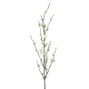 Epleblomst H90cm hvite