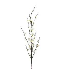 Epleblomst H90cm hvite
