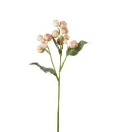 Eplekvist Rosa H35